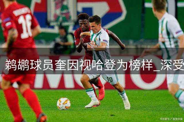 鹈鹕球员奎因视哈登为榜样 深受火箭时期球风影响